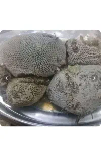 عسل طبیعی موجود است