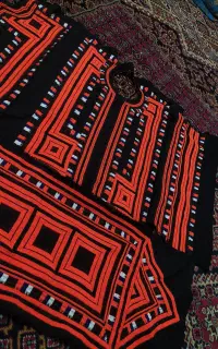 بدن آستین گودین چکن کلا جلد
