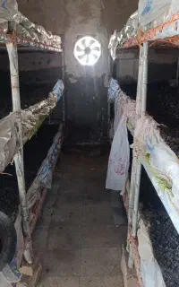 پرورش قارچ