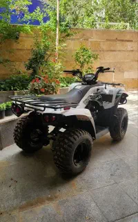 موتور چهارچرخ کاوازاکی Brute force 300