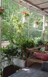 کمپ ترک اعتیاد(تمایلی و اجباری)