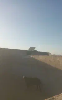 برق‌رایگان