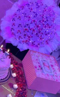 پروانه