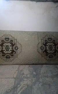 پشتی سالم