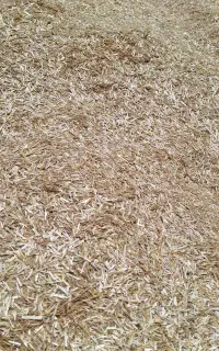 کاه کوبیده شده
