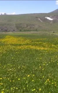 گردش اطراف یزد