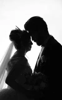 عکاسی ودینگ و پرتره