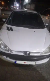 ۲۰۶ اس دی