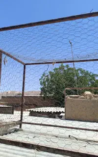 قفس پرنده