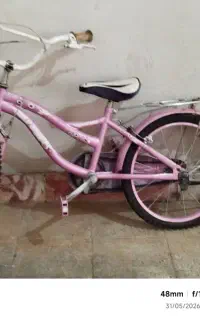 دوچرخه 20