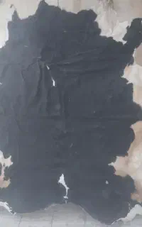 پوست گاو دباغی شده