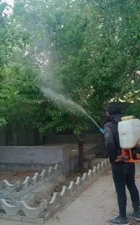 باغبانی ، پیوند ، سمپاشی، کاشت درخت، گل وچمن