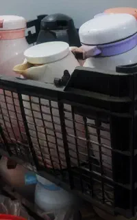 فلاکس چای
