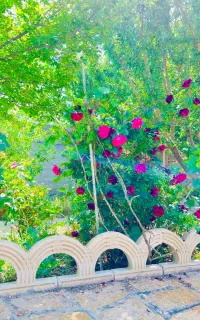 ۶۵۰متر باغ با سهمیه آب در شهرک ویلایی قیمت منصفانه