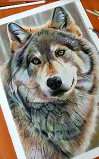 آموزشگاه نقاشی