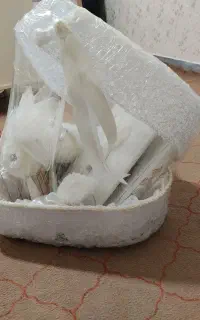 ست بله برون