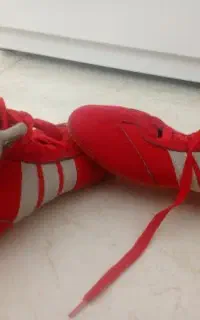 کفش کشتی برند آدیداس