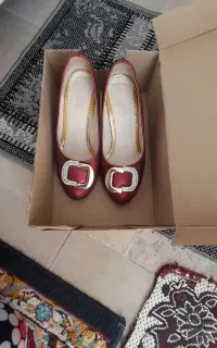 کفش مجلسی