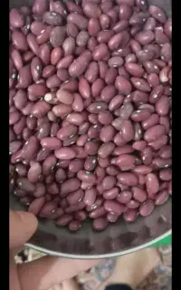 لوبیا قرمز میخوام