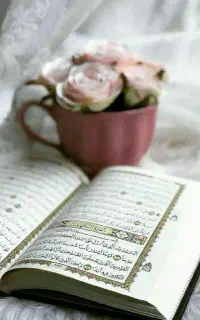 سرکتاب