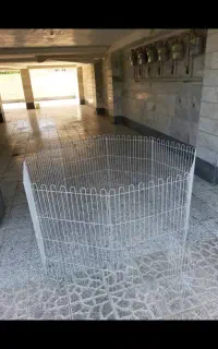پارک سگ و گربه