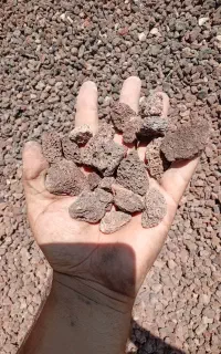 پوکه خانه