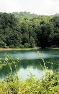 استخدام نیروی ساده و عکاس