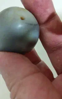 مهره سلیمانی