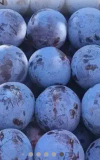 هم برا خشک کردن هم مصرف روزانه آلو