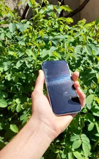 نیازمند تعمیرکار گلس فنی