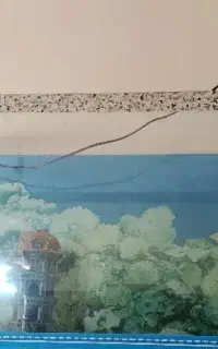 آکواریوم