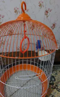 قفس با وسیله