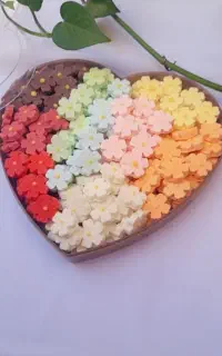قندونبات قصرقندی