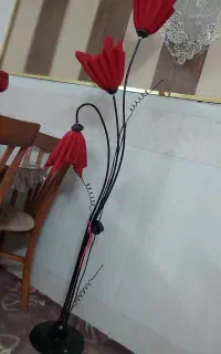 آباژور زیبا
