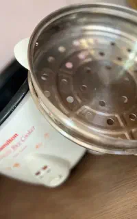 پلوبزبرقی
