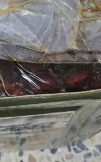 خرما