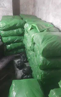 کار در کارگاه بسته بندی زغال