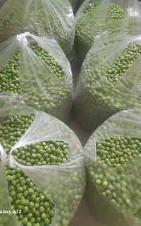 نخود فرنگی