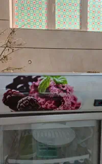 فریزر ایستاده