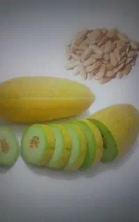بذر خربزه مشهدی