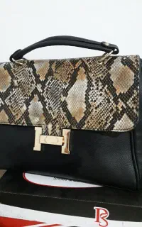 کیفو کفش