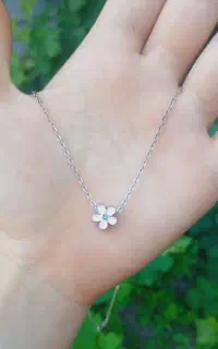 گل زیبا