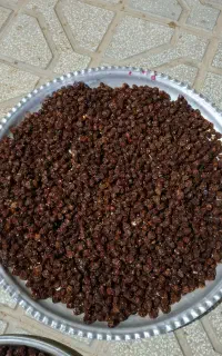 آلو لشو مرغزار (ارگانیک )
