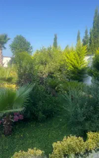 استخدام سرایدار
