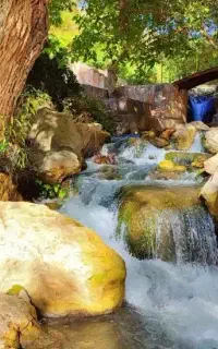 طبیعت گردی موج نو  سراب صحنه