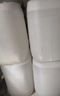 گلاب خانگی ممتاز