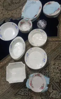 ظروف چینی . پایه دیگ . پیک نیک