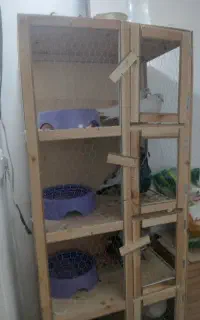 قفس کبوتری