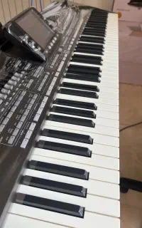 ارگ P3x درجه یک و خانگی