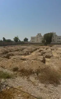 بنا ایرانی سفت کار